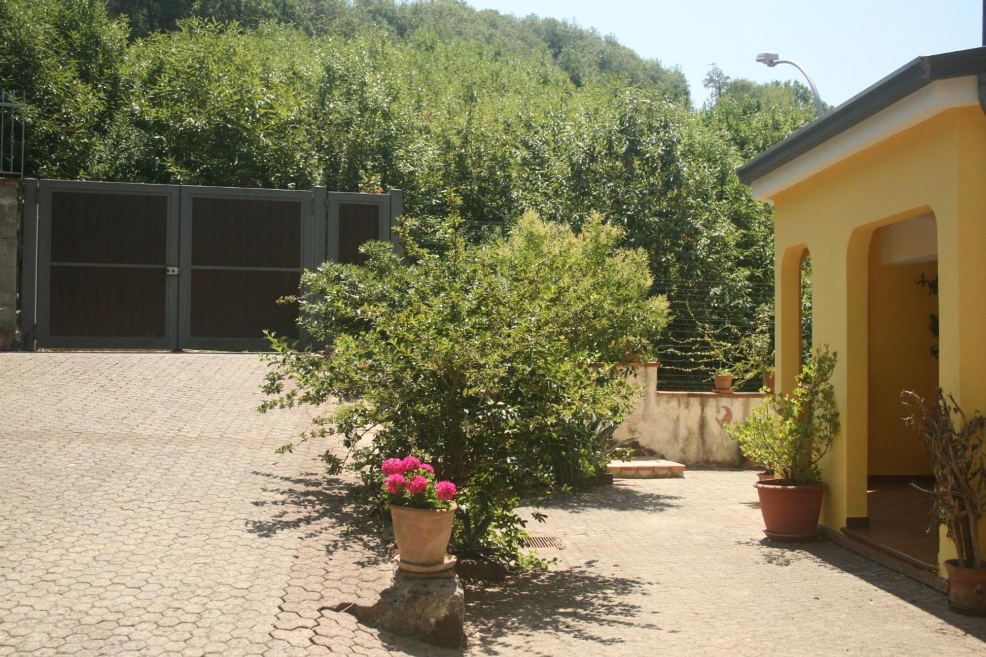 B&B Del Castagneto San Marco Argentano Номер фото